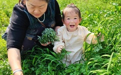 麻豆一区产品精品蜜桃的广告语